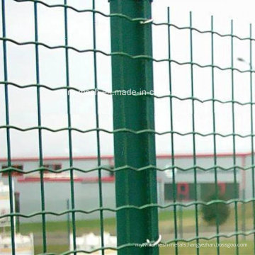 PVC Coated Welded Holland Wire Mesh Fence/ Euro Fence